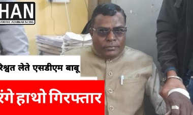 एसडीएम कार्यलय में पदस्थ सहायक ग्रेड 3, तीस हज़ार की रिश्वत लेते रंगे हाथों गिरफ्तार उज्जैन लोकायुक्त की कार्यवाही : नीमच