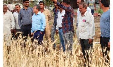 फसल नुकसानी सर्वे के लिए विधायक दिलीप मकवाना के निर्देश पर एसडीएम सहित प्रशासनिक अमला पहुंचा खेतों में