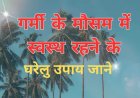 गर्मी के मौसम में स्वस्थ रहने के लिए करे यह घरेलु बचाव व उपचार : Summer Season Treatment